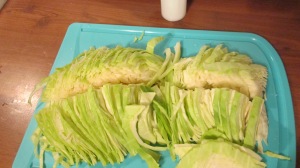 Chopped cabbage | Square Peg Food Farm